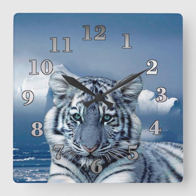 Blue White Tiger Quadratische Wanduhr (Vorderseite)
