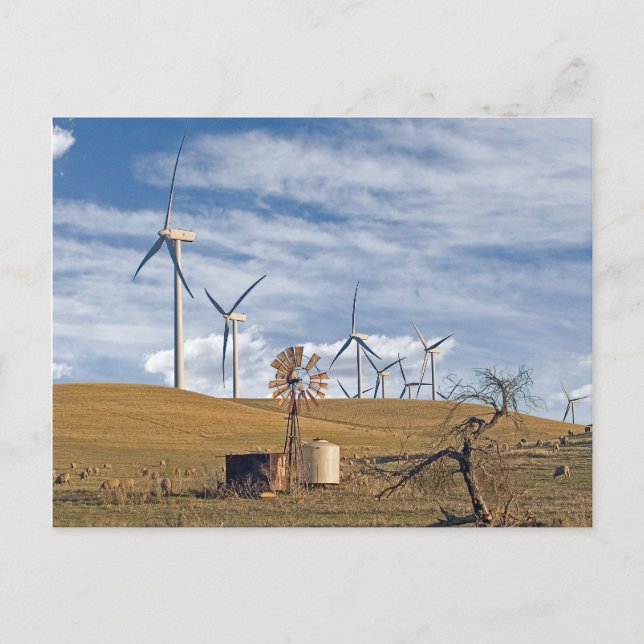 Blue Wind Postcard Postkarte (Vorderseite)