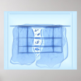 Blue window. poster