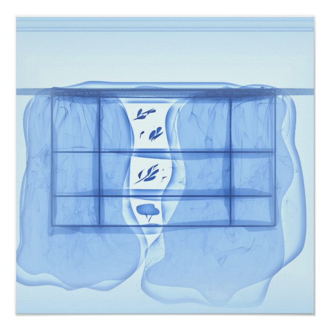 Blue window. poster (Vorderseite)