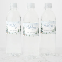 Blue Winter Wonderland Baby Dusche