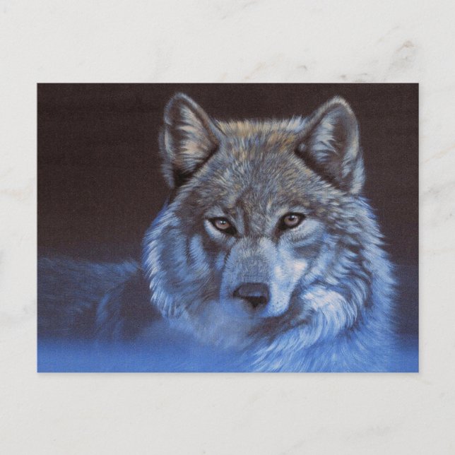 Blue Wolf Postkarte (Vorderseite)