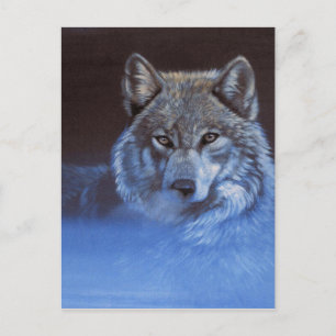 Blue Wolf Postkarte