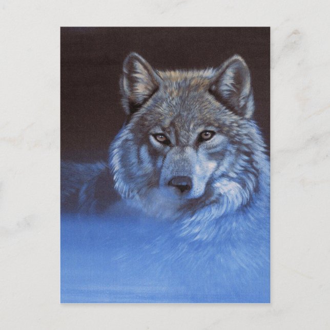 Blue Wolf Postkarte (Vorderseite)