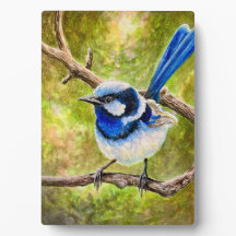 Blue Wren -
