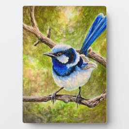 Blue Wren - Fotoplatte