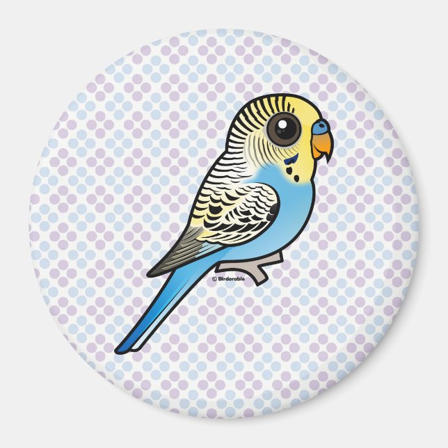 Blue & Yellow Budgie Magnet (Vorne)