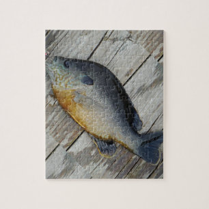Blue yellow purple teal, Bluegill fish on dock