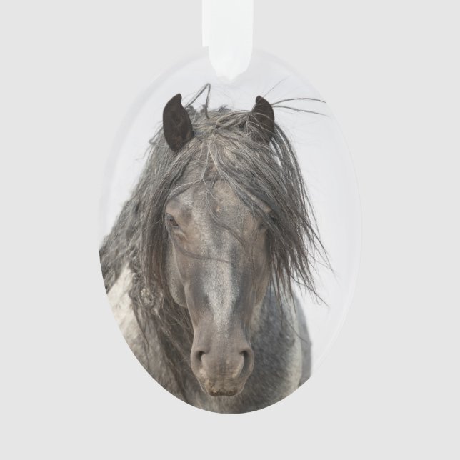 Blue Zeus Come Nah Wild Hoofbeats Ornament (Vorderseite)