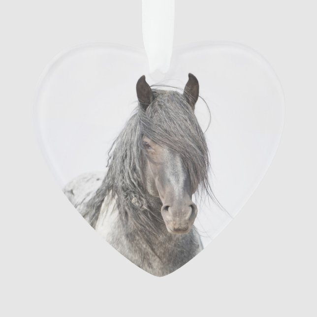 Blue Zeus Heart Wild Hoofbeats Ornement (devant)