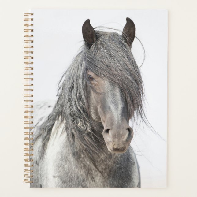 Blue Zeus Planner Planer (Vorderseite)