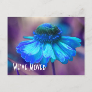 Blue Zinnia Nouvelle adresse Floral Carte postale