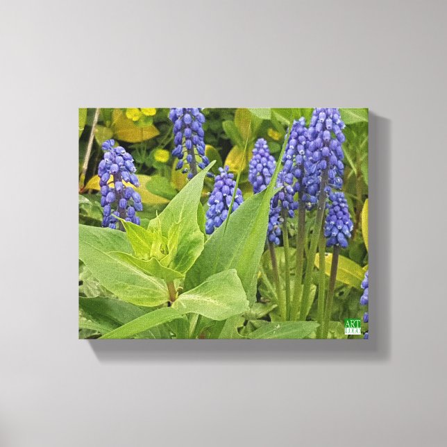 Bluebell Blume Foto drucken auf Leinwand (Vorderseite)