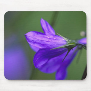 Bluebell Blume in Unabhängigkeit Pass in Mousepad