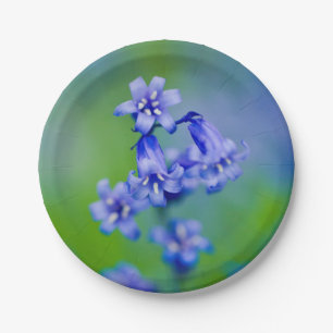 Bluebell Blume Paper Teller