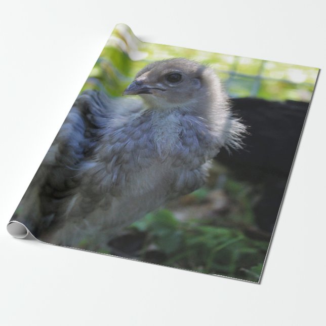 Bluebell Geschenkpapier (Ungerollt)