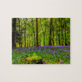 Bluebell-Holz
