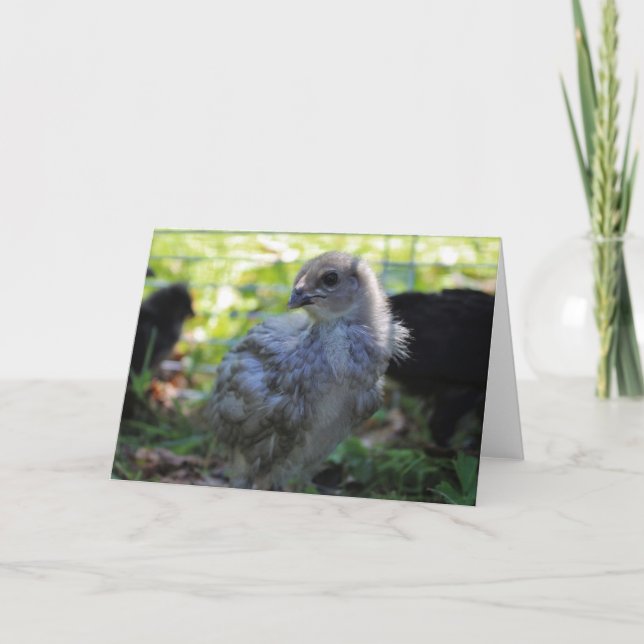 Bluebell Karte (Vorderseite)