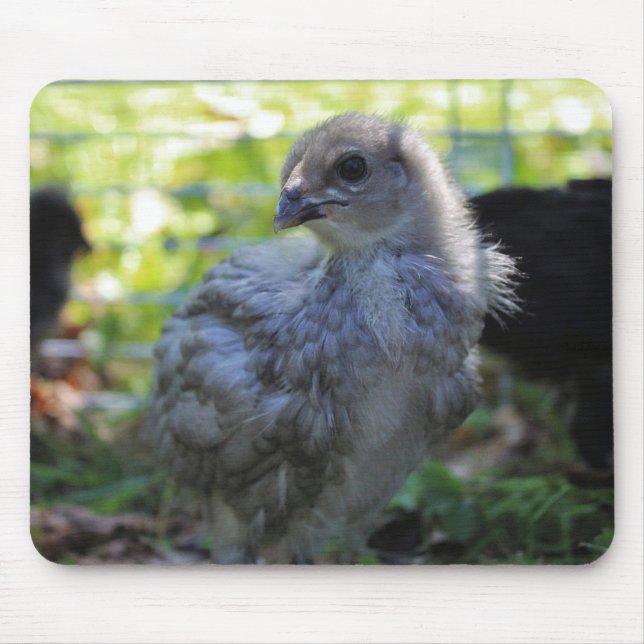 Bluebell Mousepad (Vorne)