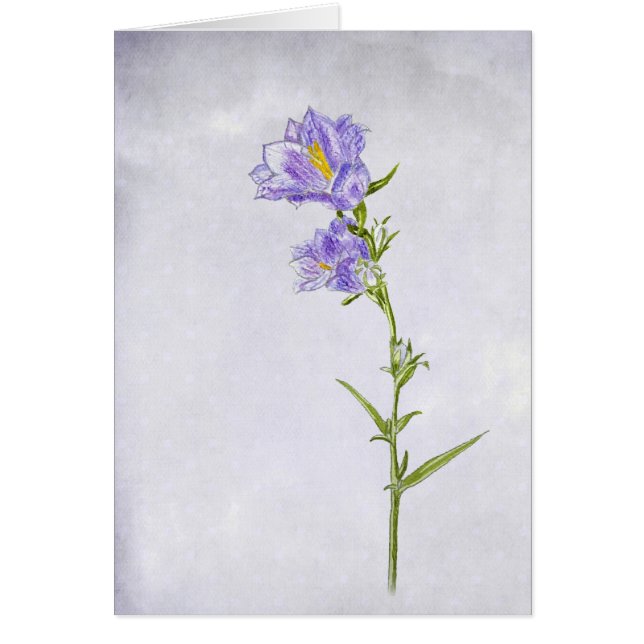 Bluebell Painting (Vorne)