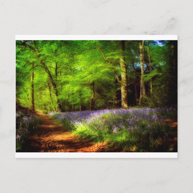 Bluebell Postkarte (Vorderseite)