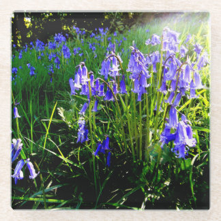 Bluebell-Untersetzer Glasuntersetzer