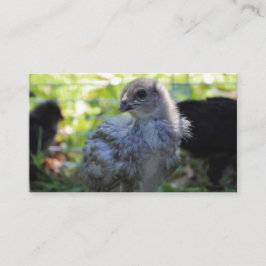 Bluebell Visitenkarte