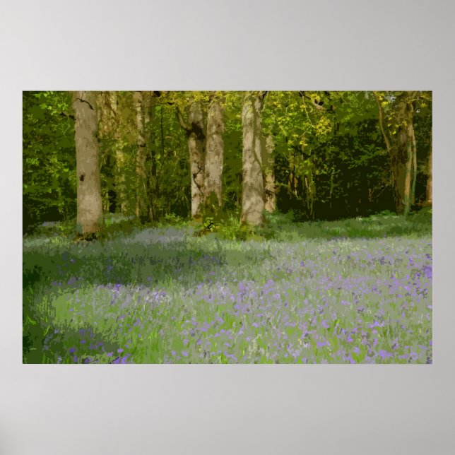 BLUEBELL WOOD 2 POSTER (Vorne)