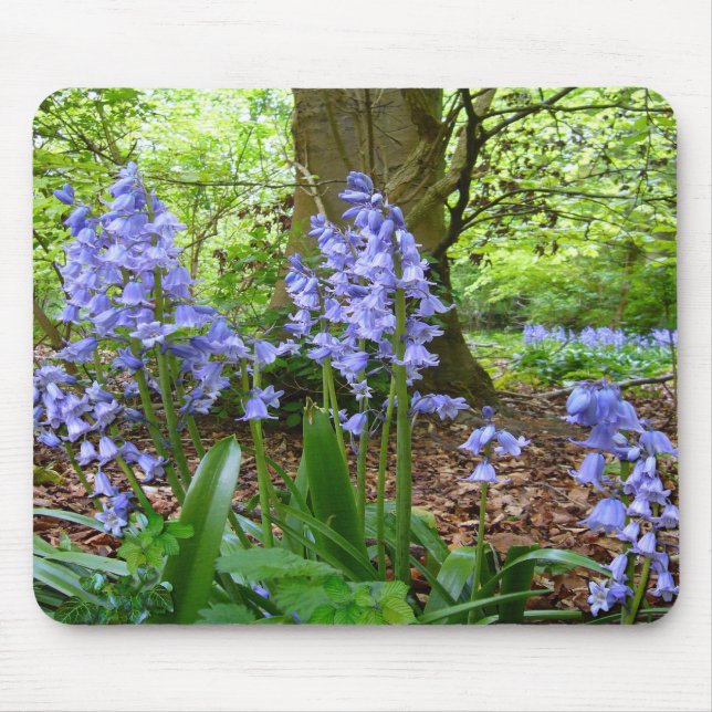 BLUEBELL WOOD Mousepad # 3 (Vorne)