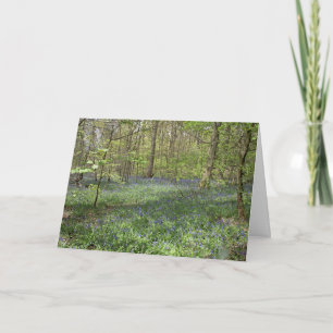 Bluebell Wood Poynton Cheshire Postcard Karte