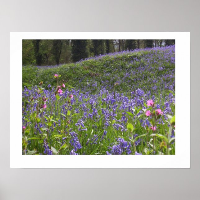 Bluebell Wood Print Poster (Vorne)
