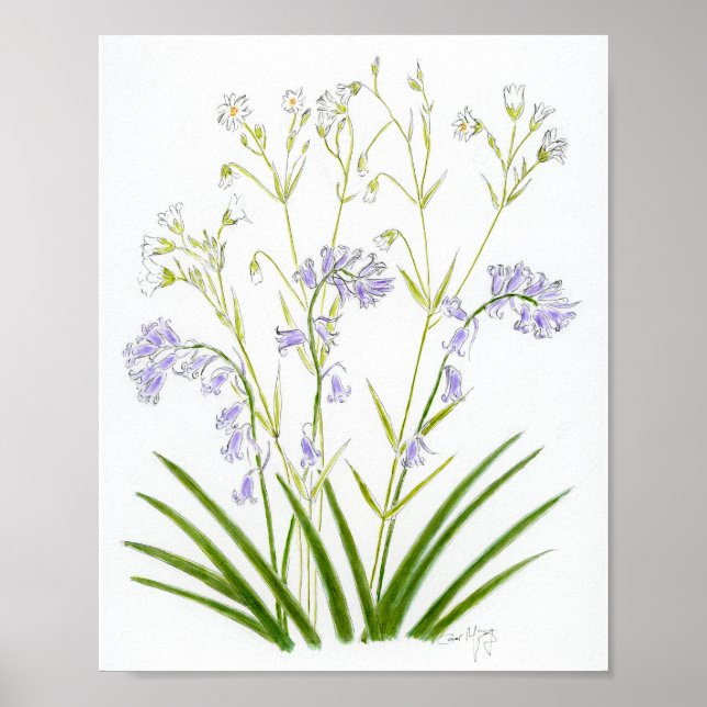 Bluebells and Stitchwort Poster (Vorne)