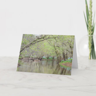 Bluebells at the Creek - Carte de voeux pour la na