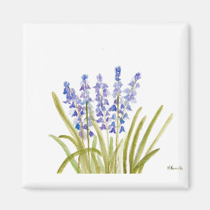 Bluebells Blume mit eleganten Aquarellen Magnet