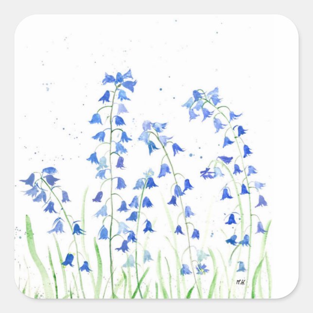 Bluebells Blumen Grünpflanzen botanisch Quadratischer Aufkleber (Vorderseite)
