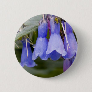 Bluebells Button