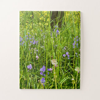 Bluebells & Dandelions in Wild Spring Grass