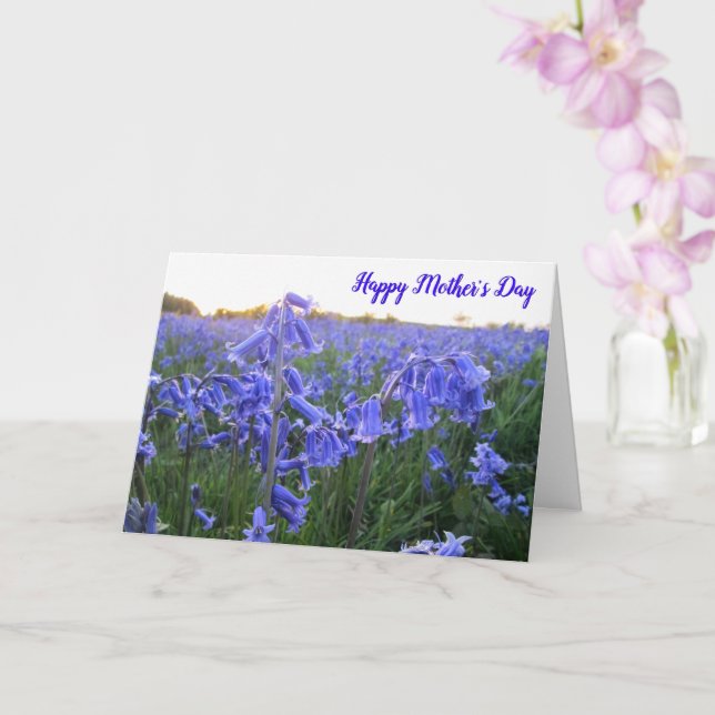Bluebells de l'heure dorée - Carte personnalisée p (Orchidée)