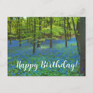 Bluebells Floral Elegante Blume Geburtstag Postkarte