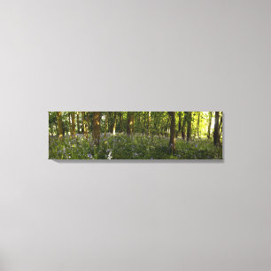 Bluebells in einem Wald Leinwanddruck