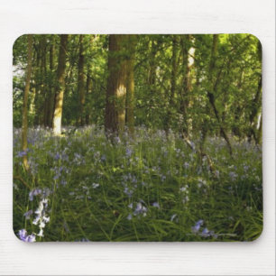 Bluebells in einem Wald Mousepad