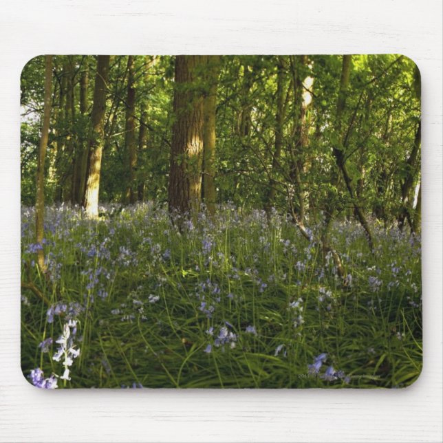 Bluebells in einem Wald Mousepad (Vorne)
