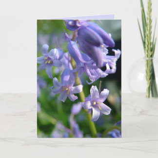 Bluebells Karte