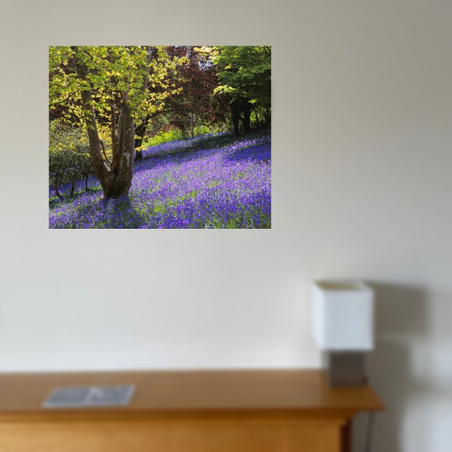 Bluebells Leinwanddruck (Von Creator hochgeladen)