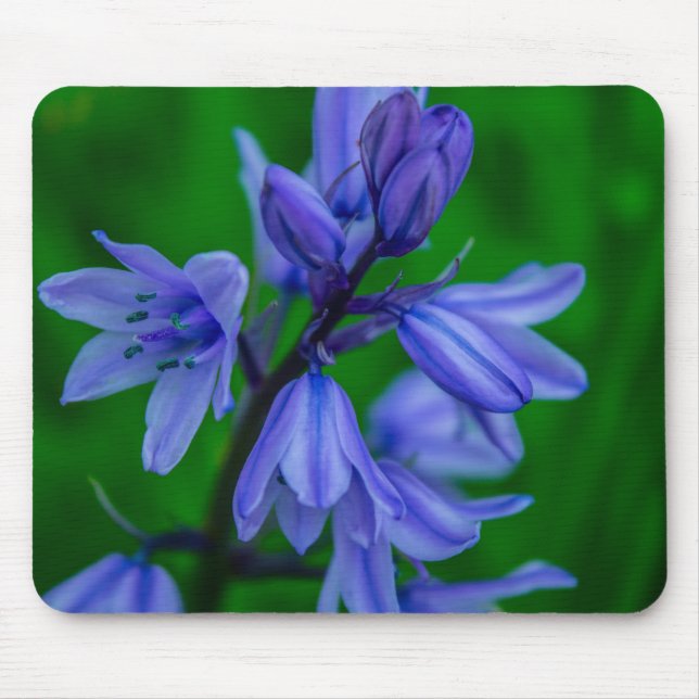 Bluebells Mousemat Mousepad (Vorne)