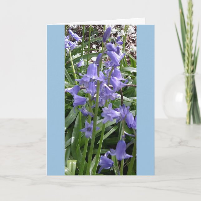Bluebells Nah bis Fotokarte - groß Karte (Vorderseite)