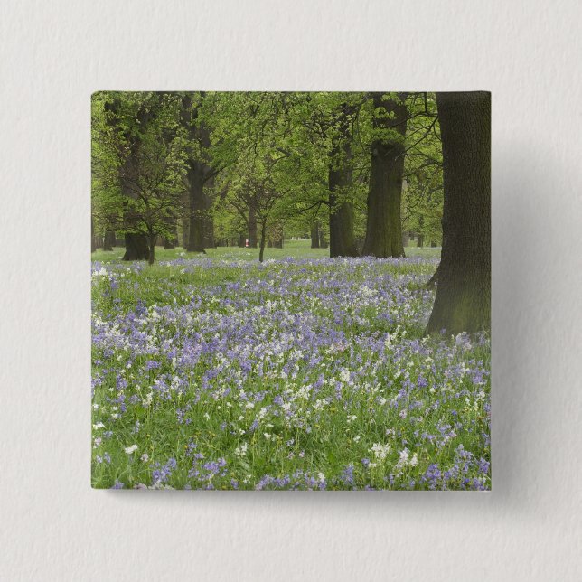 Bluebells und Eichenbäume im Frühling, Little Hagl Button (Vorderseite)