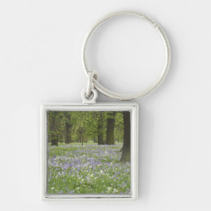 Bluebells und Eichenbäume im Frühling, Little Hagl Schlüsselanhänger