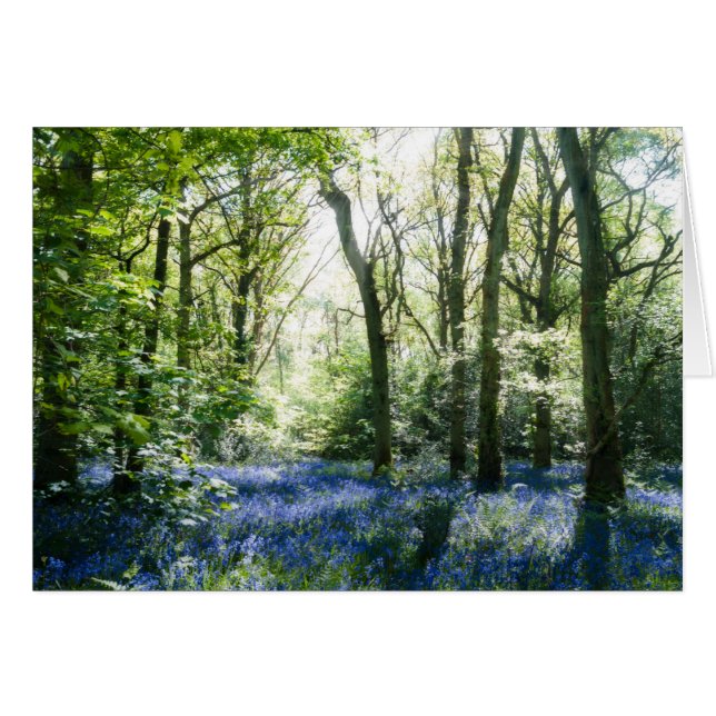 Bluebells und Frühlingssammelbänke (Vorderseite (Horizontal))