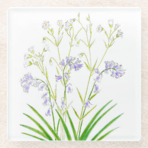Bluebells und Heftkraut-Untersetzer Glasuntersetzer